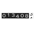 Mileage Odometer
